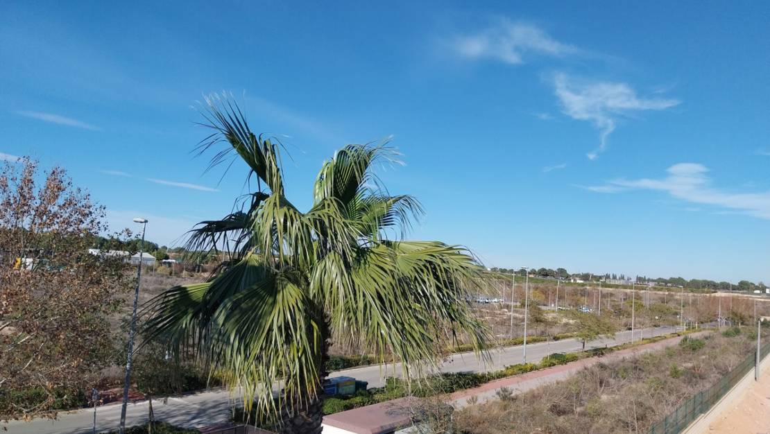 Venta - Apartment - Pilar de la Horadada - Pilar de la Horadada Centro