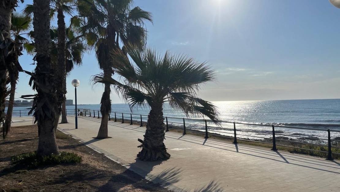 Venta - Apartment - Pilar de la Horadada - Pilar de la Horadada Centro