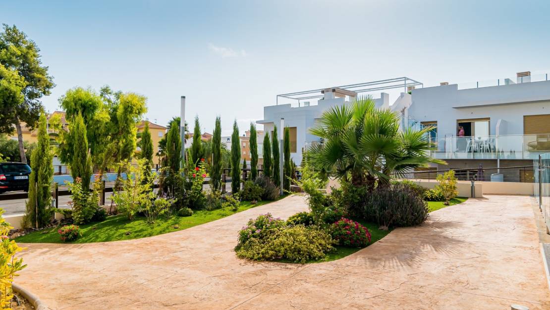 Venta - Apartment - Pilar de la Horadada - Pilar de la Horadada Centro