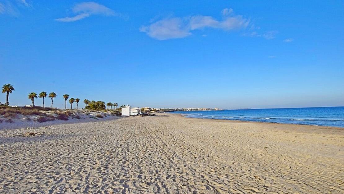 Venta - Apartment - Pilar de la Horadada - Torre de la Horadada