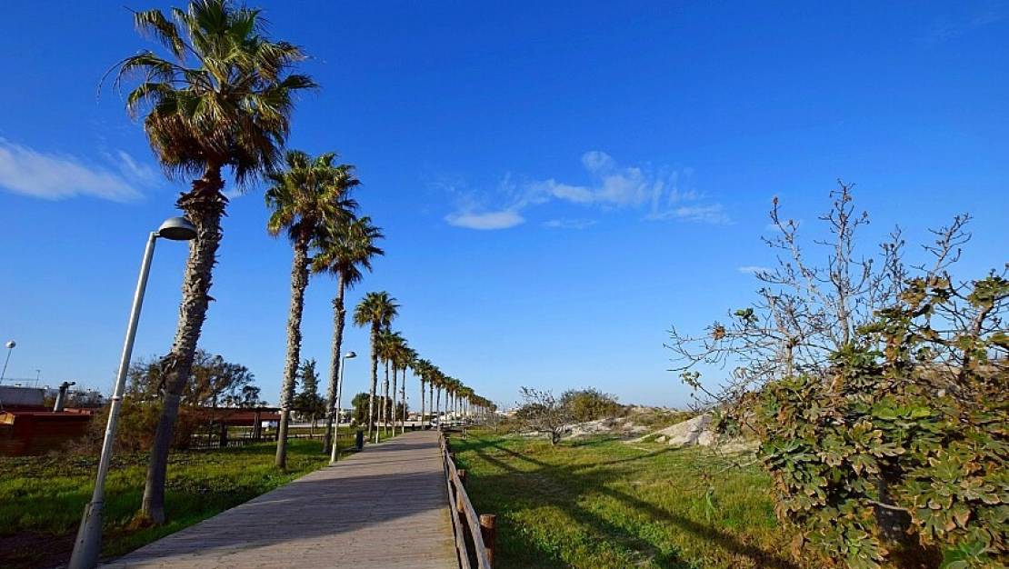 Venta - Apartment - Pilar de la Horadada - Torre de la Horadada
