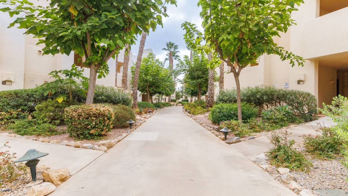 Venta - Apartment - San Javier - Roda Golf