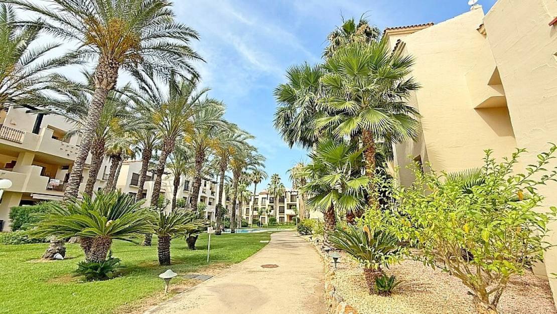 Venta - Apartment - San Javier - Roda