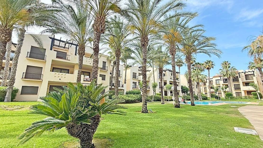 Venta - Apartment - San Javier - Roda