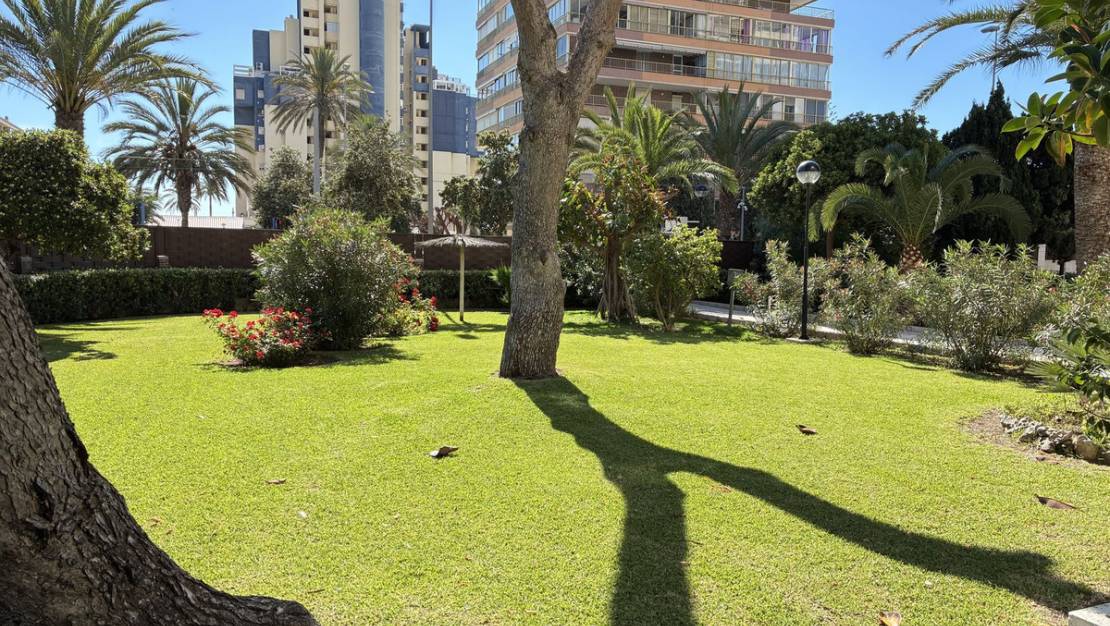 Venta - Apartment - San Juan de Alicante - Playa de San Juan