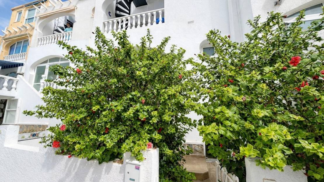 Venta - Apartment - San Miguel de Salinas - Las Filipinas