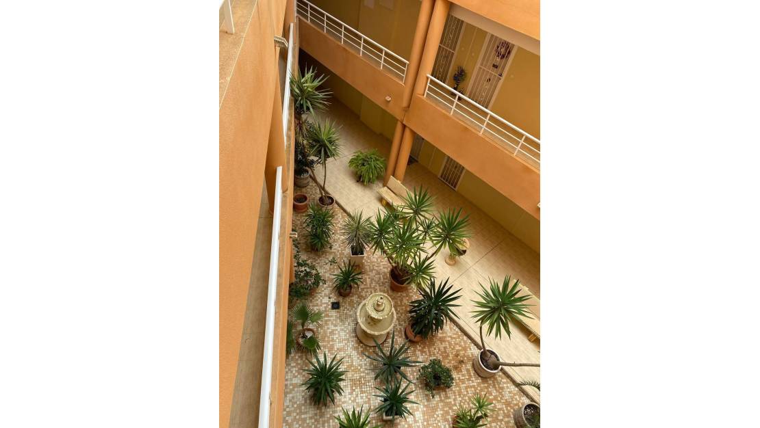 Venta - Apartment - San Miguel de Salinas - San Miguel de Salinas Centro