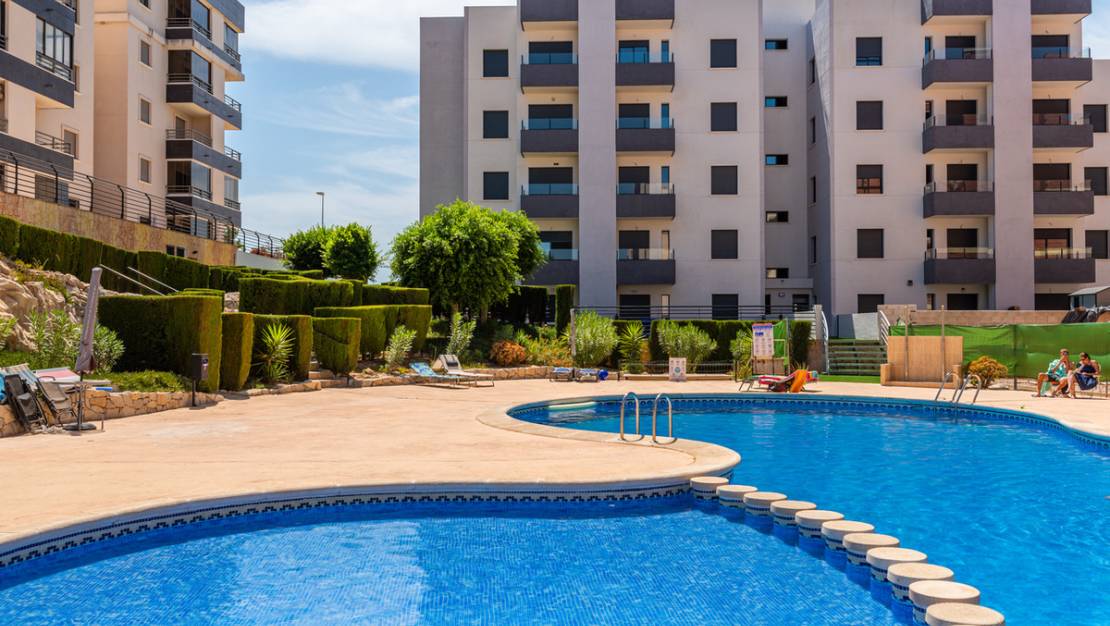 Venta - Apartment - San Miguel de Salinas - San Miguel de Salinas Centro