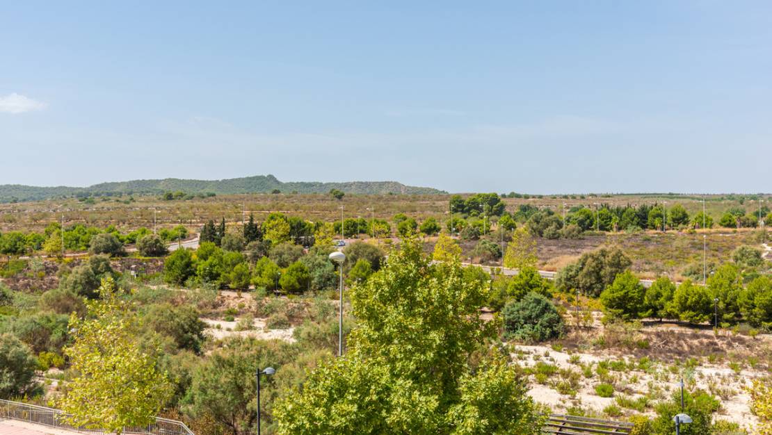 Venta - Apartment - San Miguel de Salinas - San Miguel de Salinas Centro