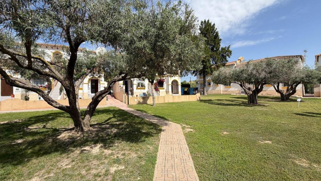 Venta - Apartment - San Miguel de Salinas - San Miguel de Salinas Centro
