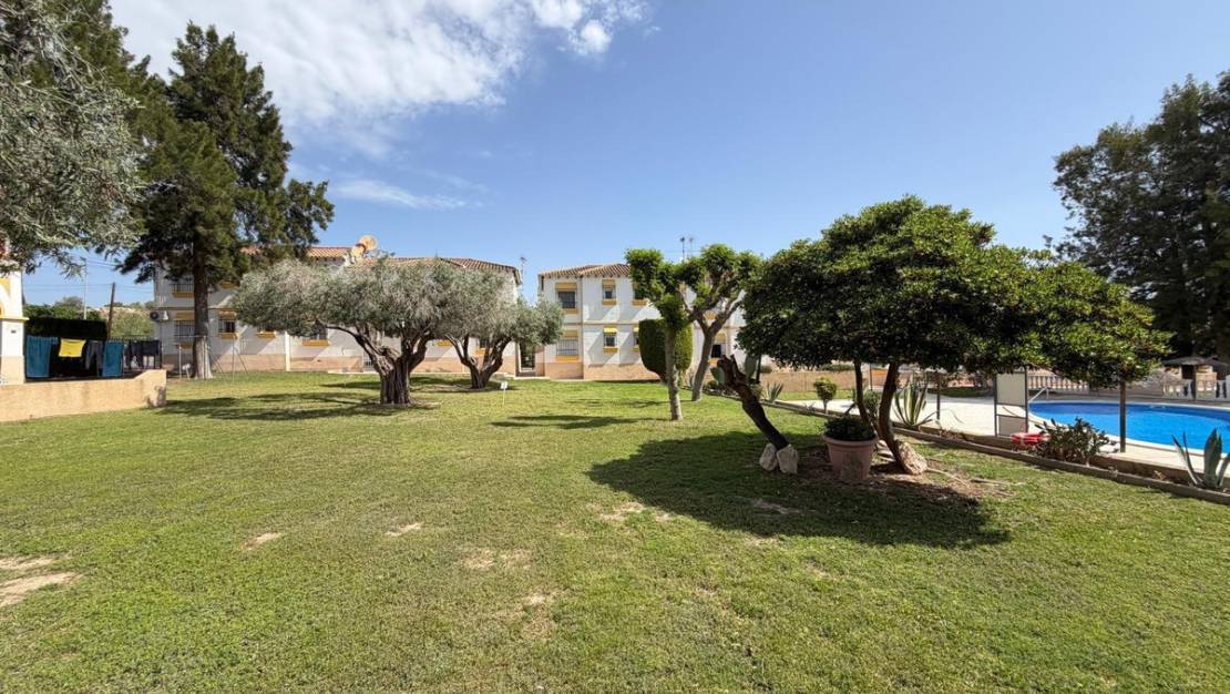 Venta - Apartment - San Miguel de Salinas - San Miguel de Salinas Centro