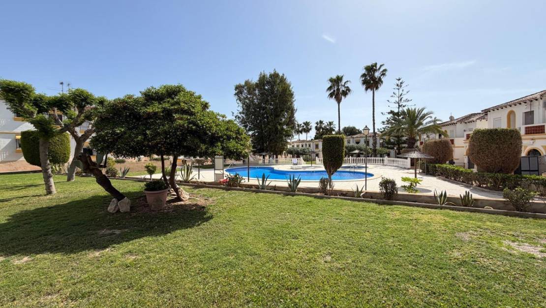 Venta - Apartment - San Miguel de Salinas - San Miguel de Salinas Centro
