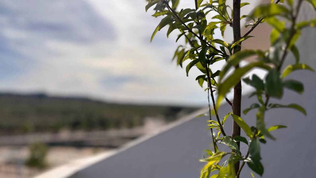 Venta - Apartment - San Miguel de Salinas - san miguel
