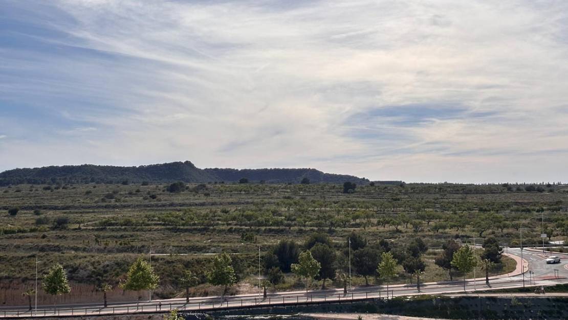 Venta - Apartment - San Miguel de Salinas - san miguel