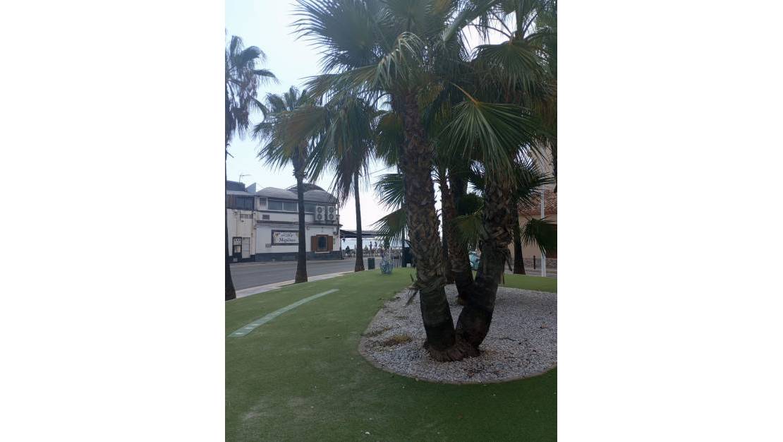 Venta - Apartment - San Pedro del Pinatar - Lo Pagan