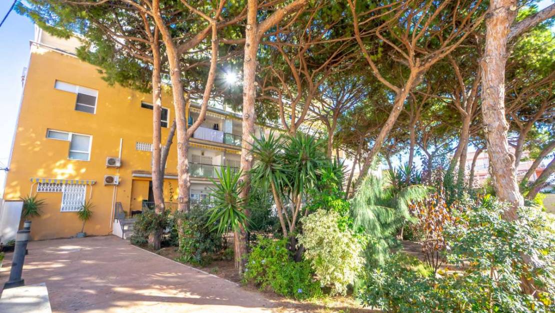 Venta - Apartment - San Pedro del Pinatar - Lo Pagan