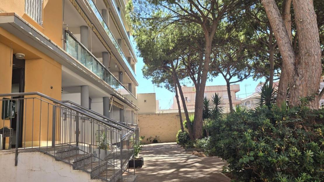 Venta - Apartment - San Pedro del Pinatar - San Pedro del Pinatar Centro