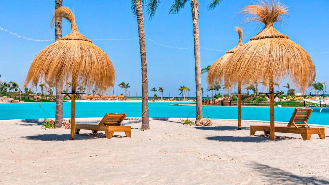 Venta - Apartment - Torre-Pacheco - Torre-Pacheco Centro