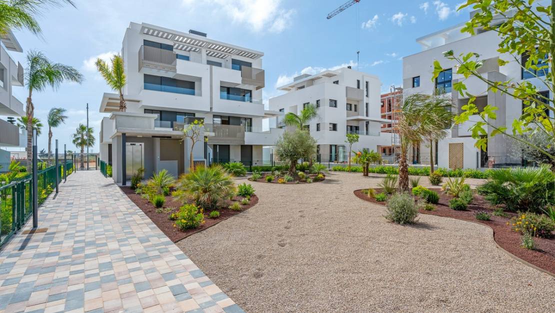 Venta - Apartment - Torre-Pacheco - Torre-Pacheco Centro