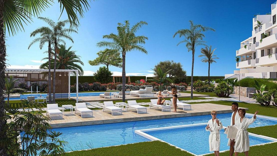 Venta - Apartment - Torre-Pacheco - Torre-Pacheco Centro