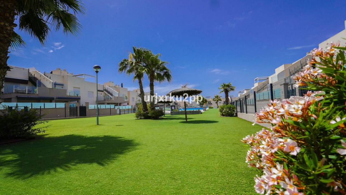 Venta - Apartment - Torrevieja - Aguas Nuevas