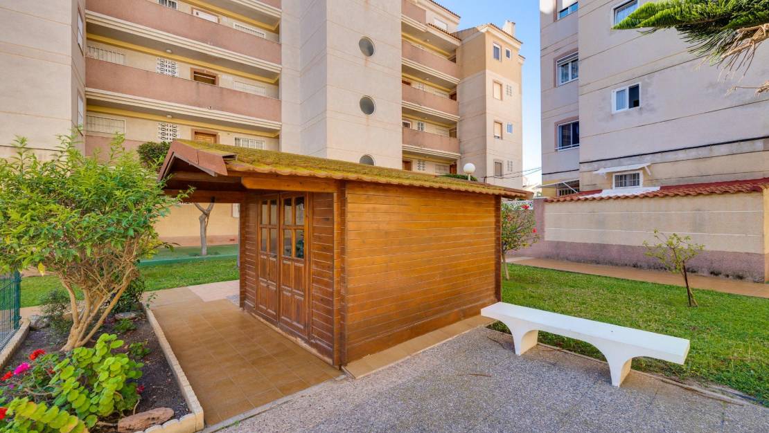 Venta - Apartment - Torrevieja - Calas blanca