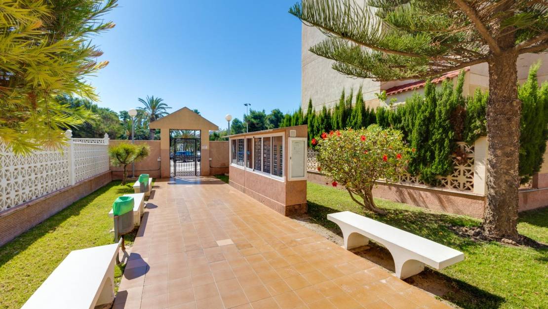 Venta - Apartment - Torrevieja - Calas blanca