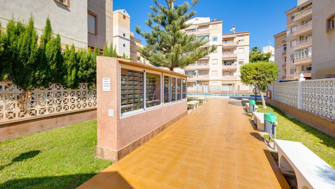 Venta - Apartment - Torrevieja - Calas blanca