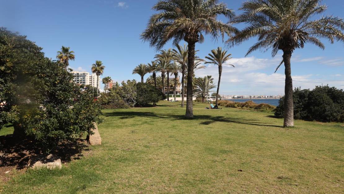Venta - Apartment - Torrevieja - Centro