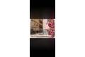 Venta - Apartment - Torrevieja - El chaparral