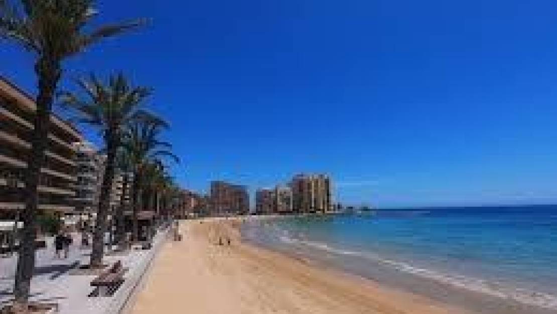 Venta - Apartment - Torrevieja - Estacion de autobuses