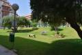 Venta - Apartment - Torrevieja - La Mata