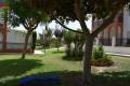 Venta - Apartment - Torrevieja - La Mata