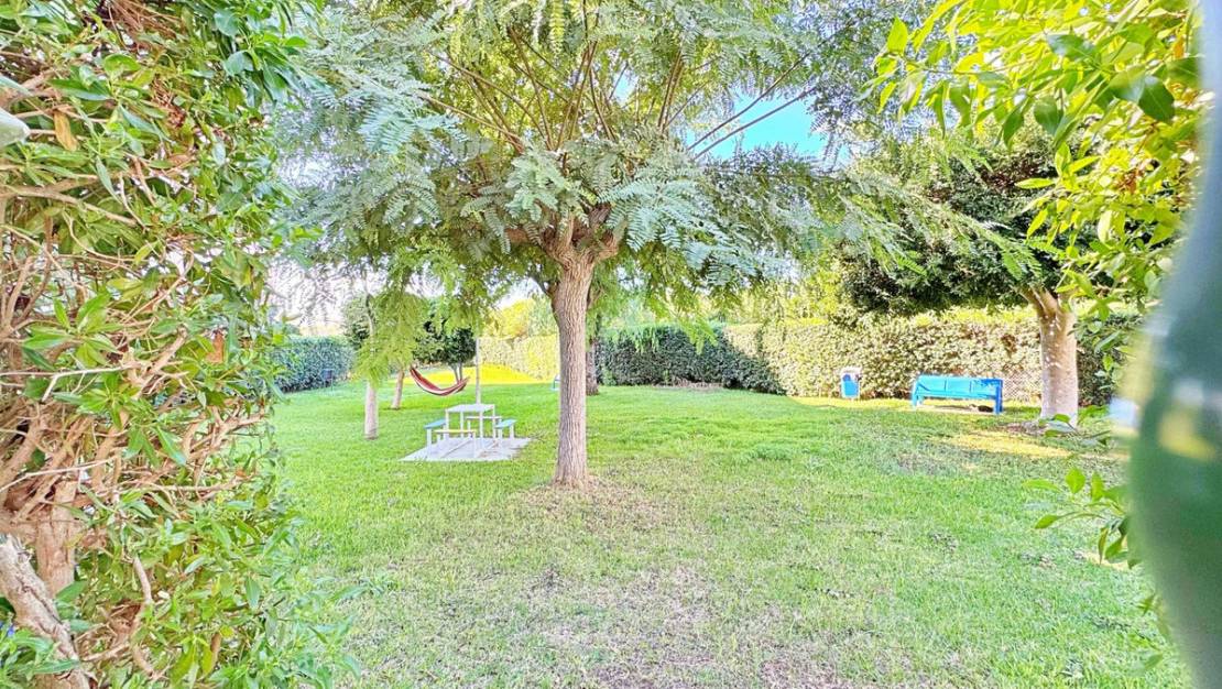 Venta - Apartment - Torrevieja - La Mata