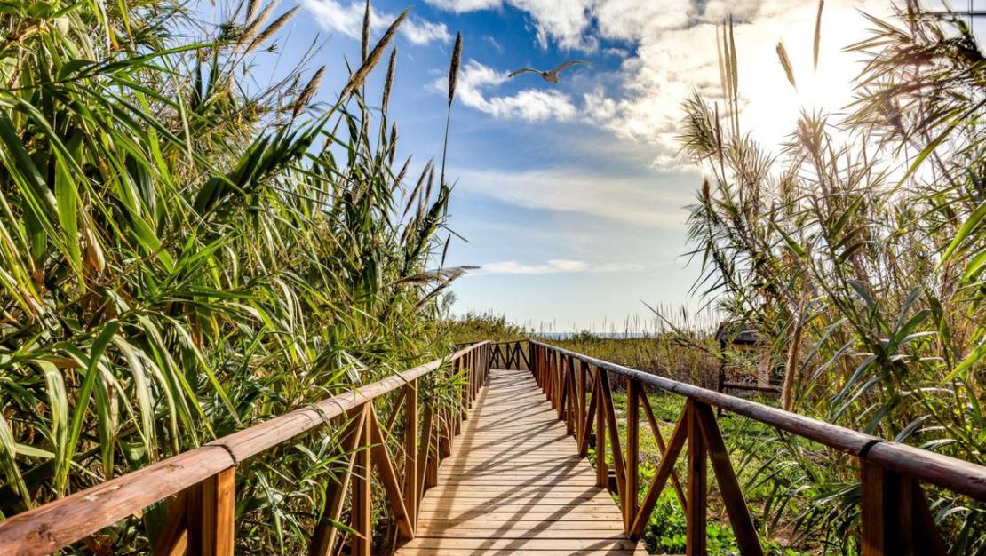 Venta - Apartment - Torrevieja - La Mata