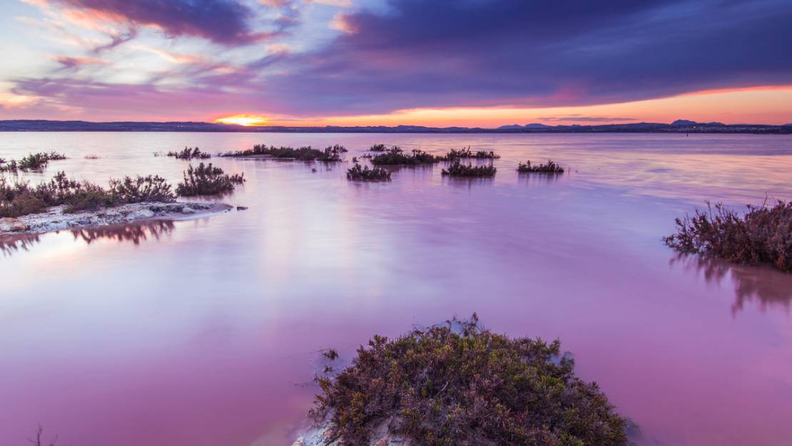 Venta - Apartment - Torrevieja - La Mata