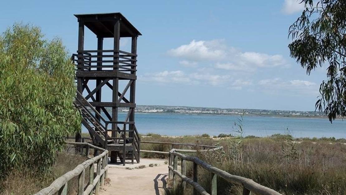 Venta - Apartment - Torrevieja - La Mata