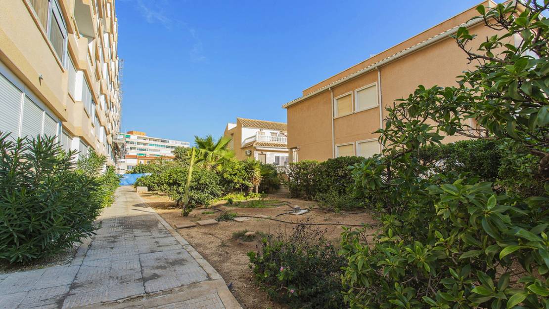 Venta - Apartment - Torrevieja - La Mata