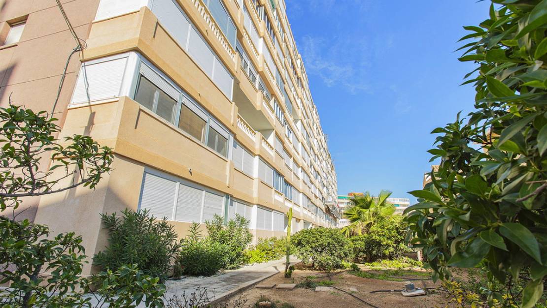 Venta - Apartment - Torrevieja - La Mata