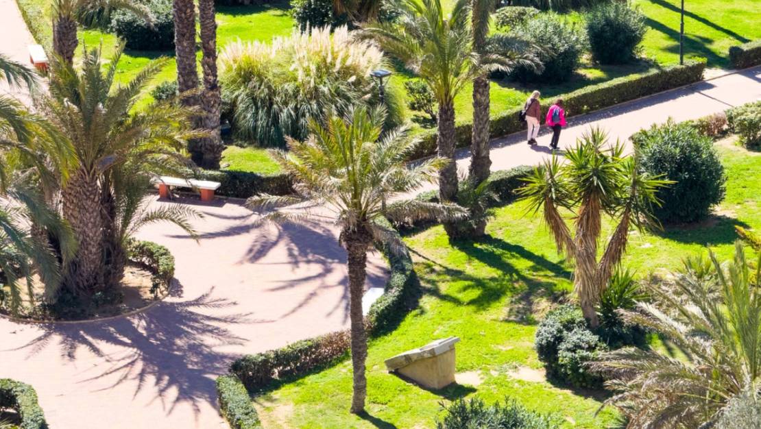 Venta - Apartment - Torrevieja - La Mata