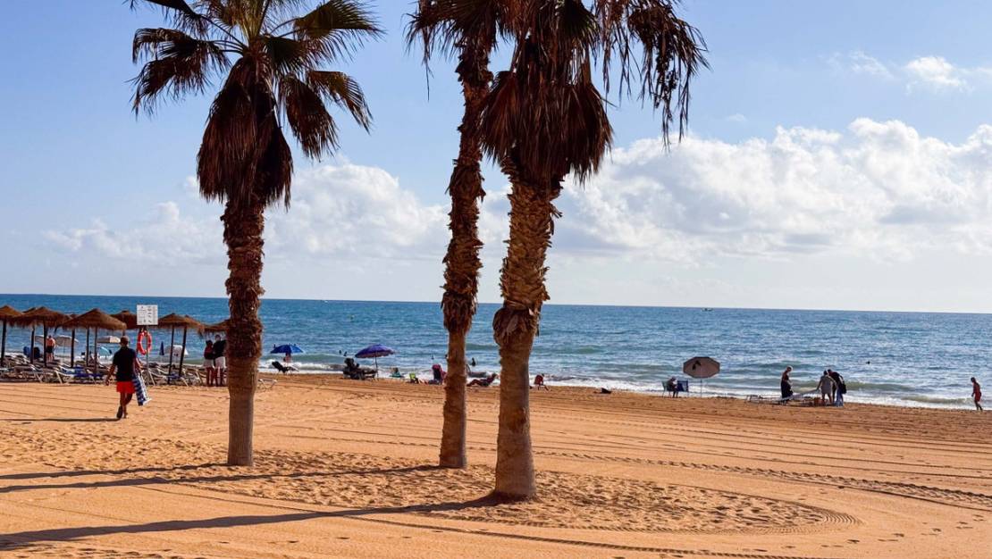 Venta - Apartment - Torrevieja - La Mata