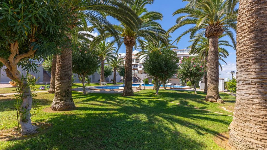 Venta - Apartment - Torrevieja - La Mata