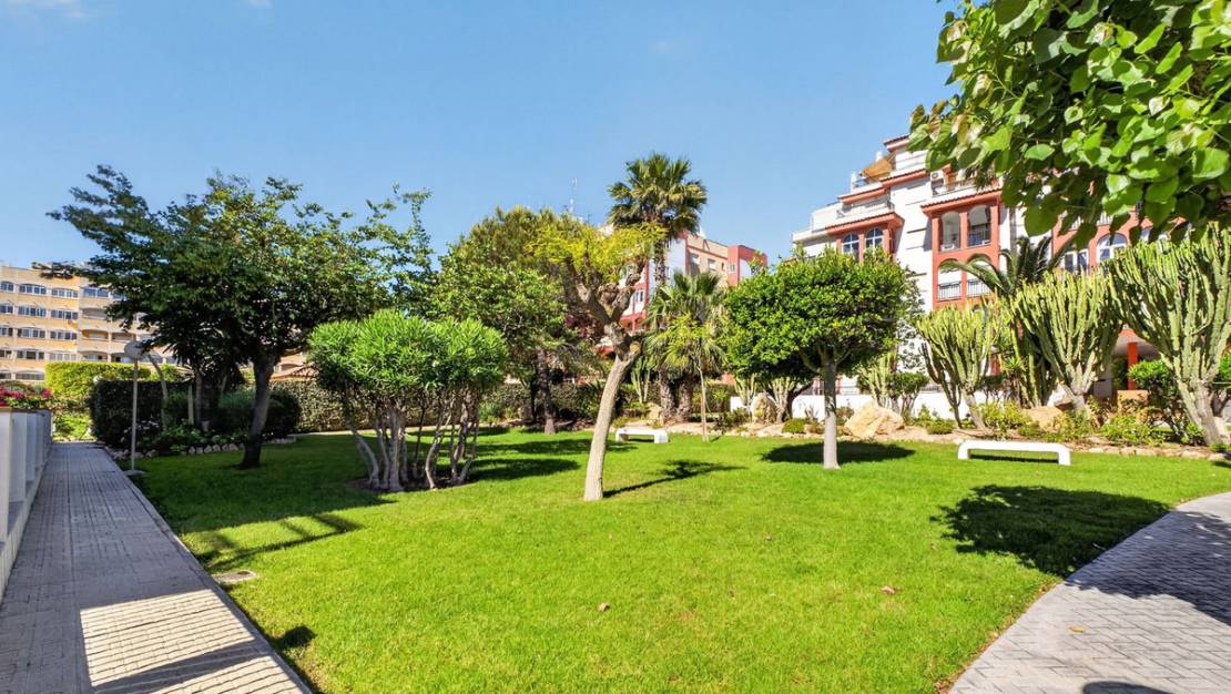 Venta - Apartment - Torrevieja - La Mata