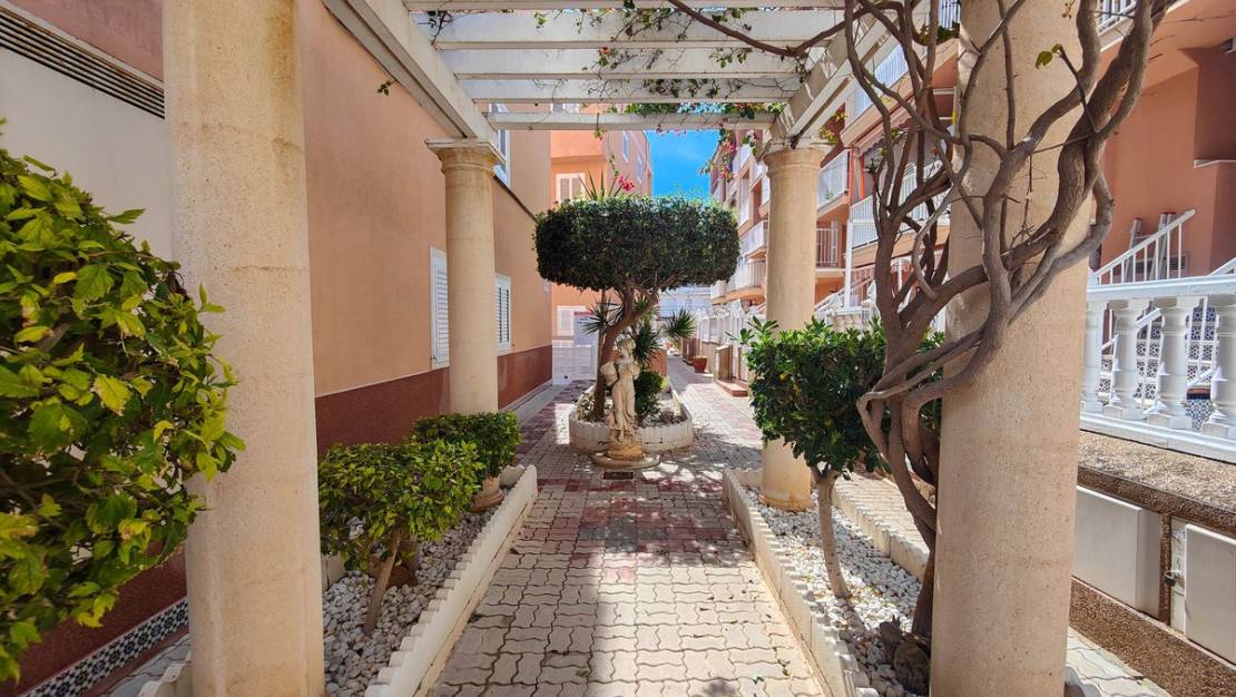 Venta - Apartment - Torrevieja - La Mata