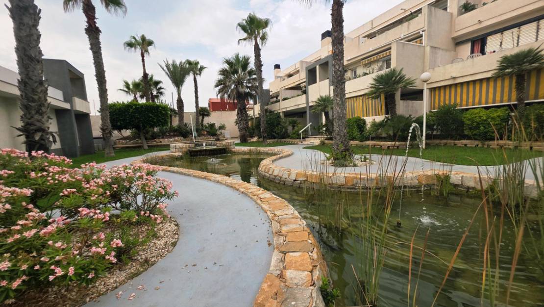 Venta - Apartment - Torrevieja - La Mata