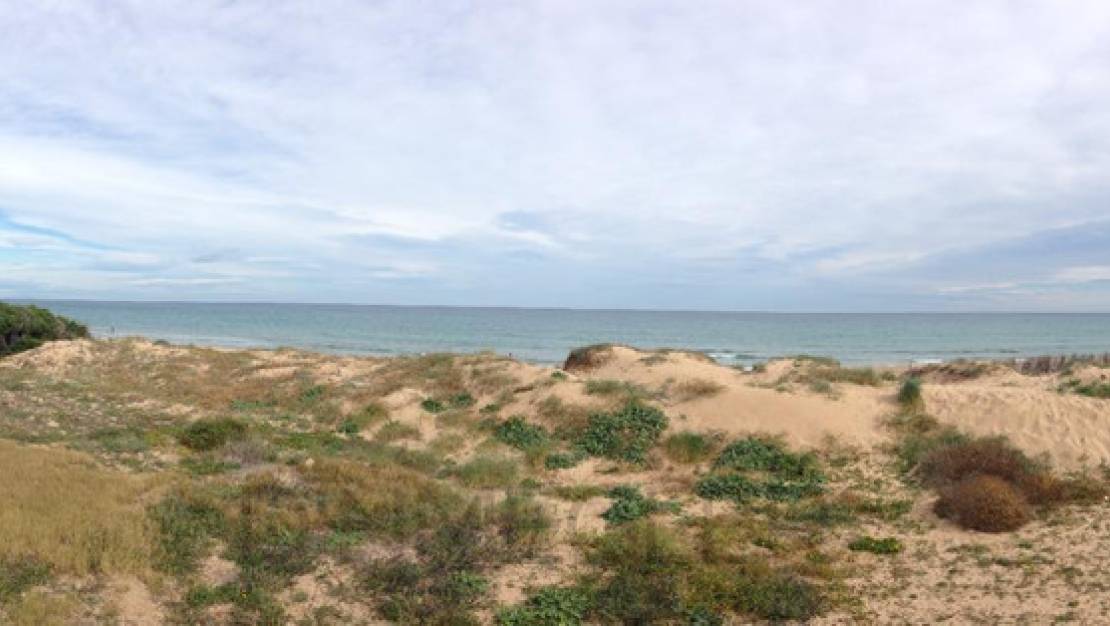 Venta - Apartment - Torrevieja - La Mata