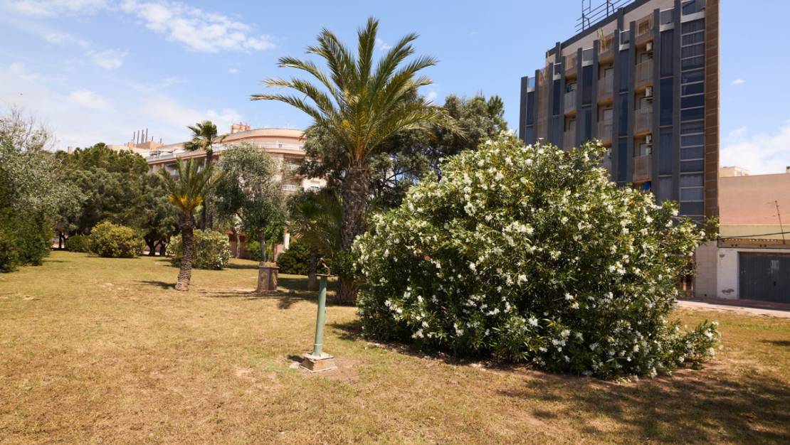 Venta - Apartment - Torrevieja - La Mata