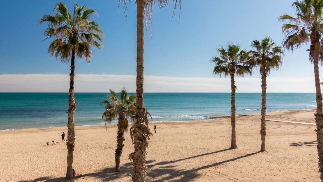 Venta - Apartment - Torrevieja - La Mata