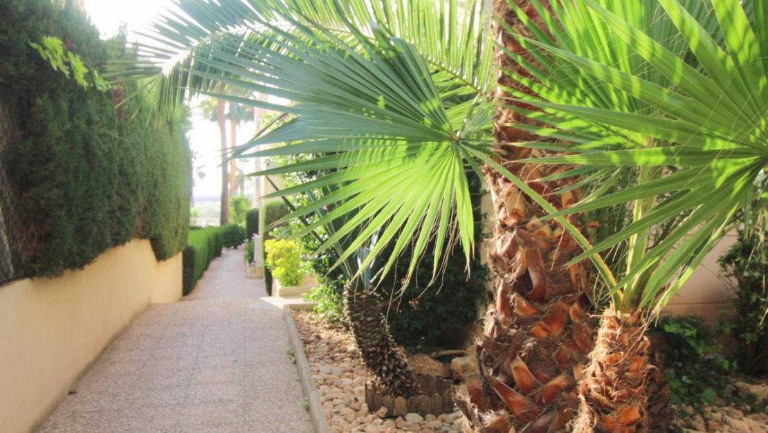 Venta - Apartment - Torrevieja - La Veleta