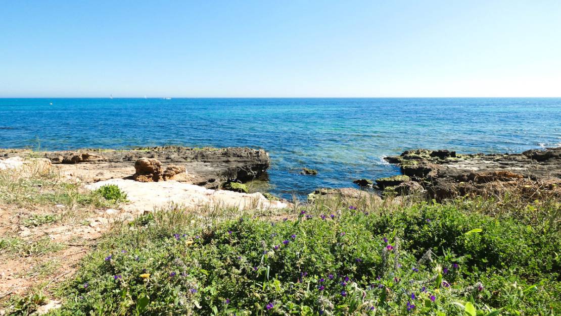 Venta - Apartment - Torrevieja - La Veleta